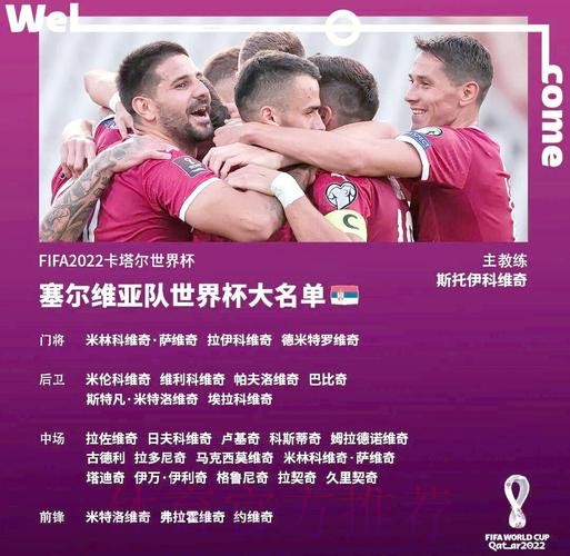 世界杯焦点战预测与深度解读